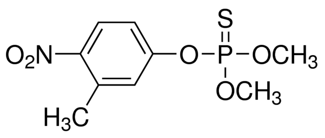 乙腈中殺螟硫磷溶液，100μg/mL